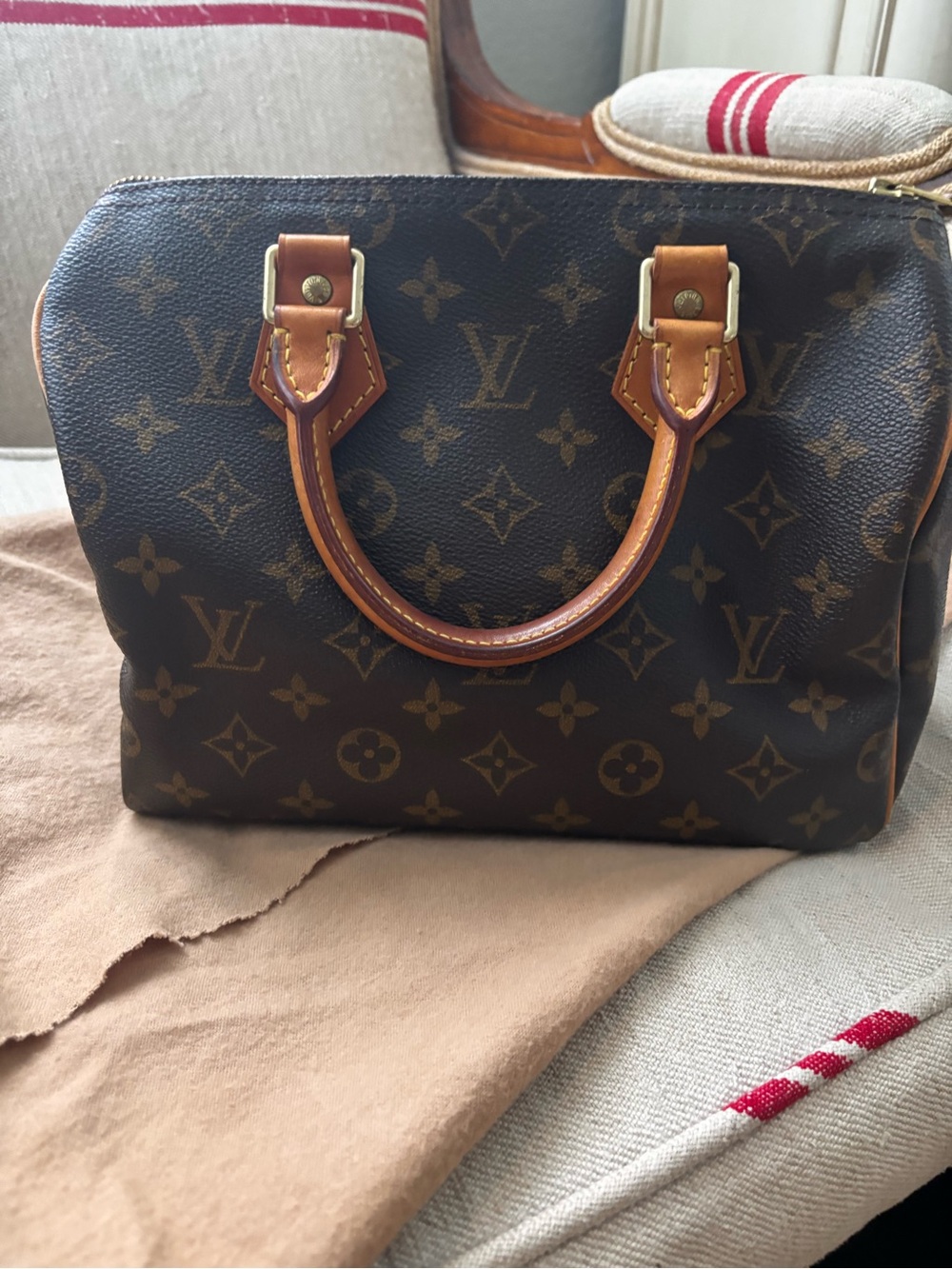 Louis Vuitton  Monogram speedy 25